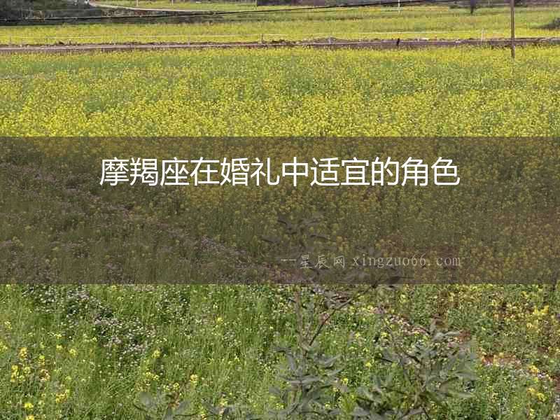 摩羯座在婚禮中適宜的角色