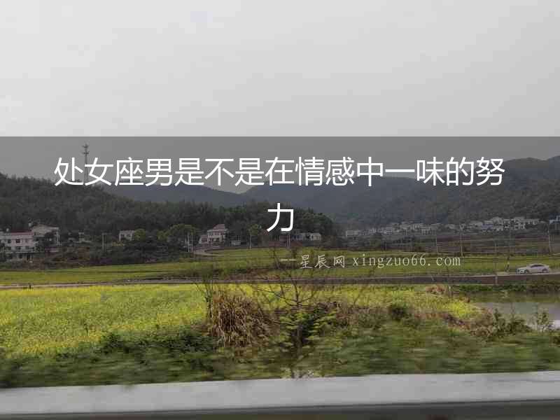 處女座男是不是在情感中一味的努力