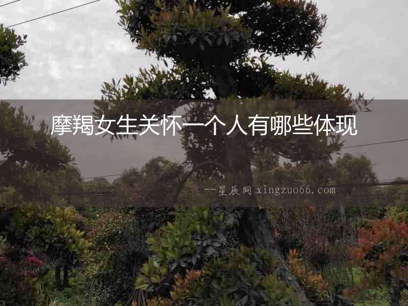 摩羯女生關懷一個人有哪些體現
