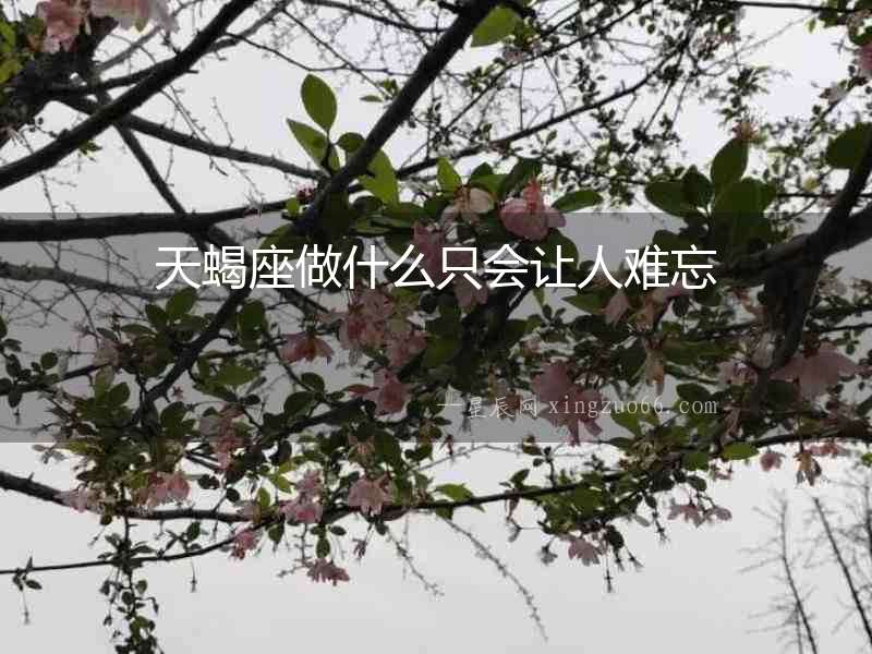 天蝎座做什么只會讓人難忘