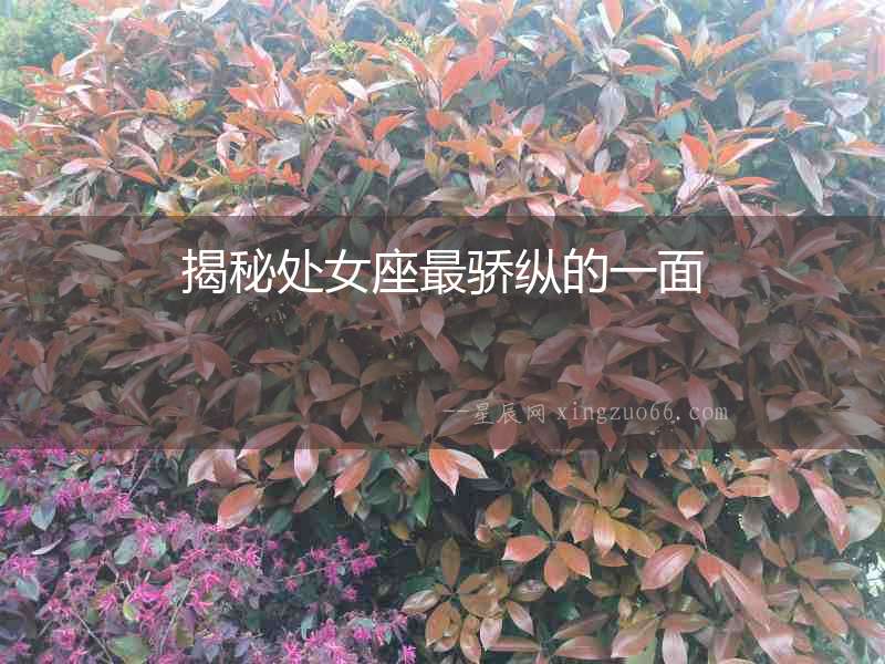 揭秘處女座最驕縱的一面