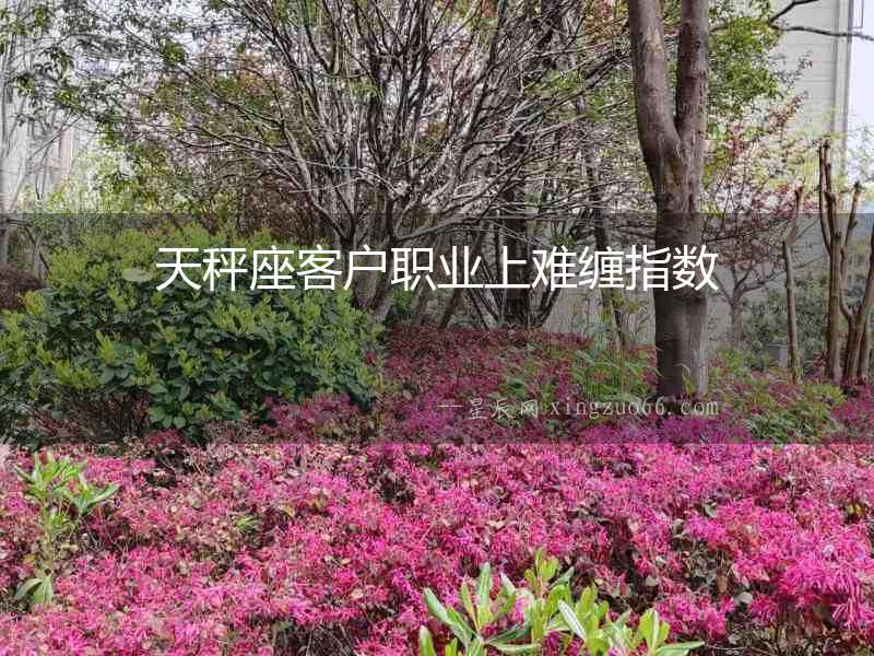 天秤座客戶職業上難纏指數