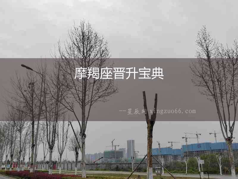 摩羯座晉升寶典