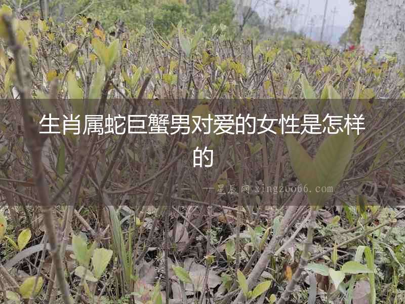 生肖屬蛇巨蟹男對愛的女性是怎樣的