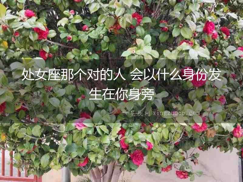 處女座那個對的人 會以什么身份發生在你身旁