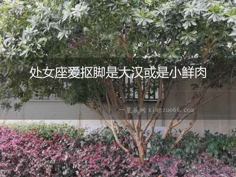 處女座愛摳腳是大漢或是小鮮肉