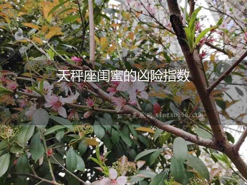 天秤座閨蜜的兇險指數(shù)