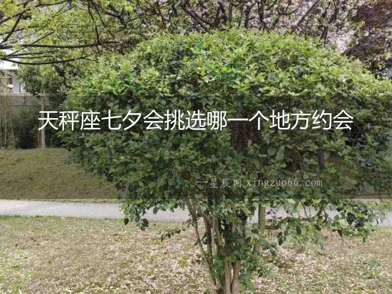 天秤座七夕會(huì)挑選哪一個(gè)地方約會(huì)