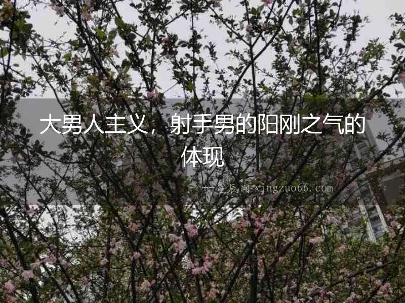 大男人主義，射手男的陽剛之氣的體現(xiàn)