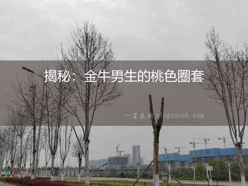 揭秘：金牛男生的桃色圈套