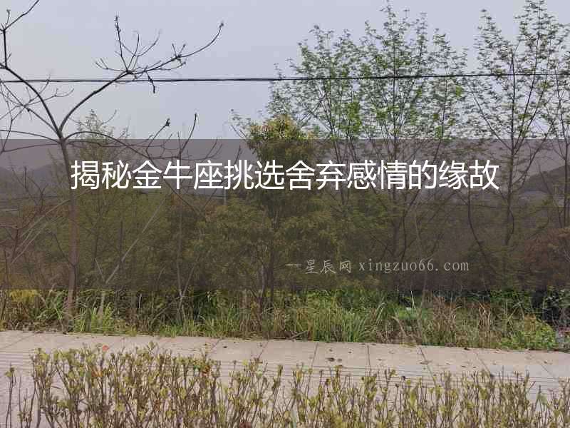 揭秘金牛座挑選舍棄感情的緣故