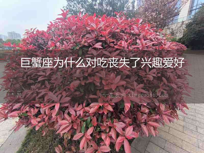 巨蟹座為什么對吃喪失了興趣愛好