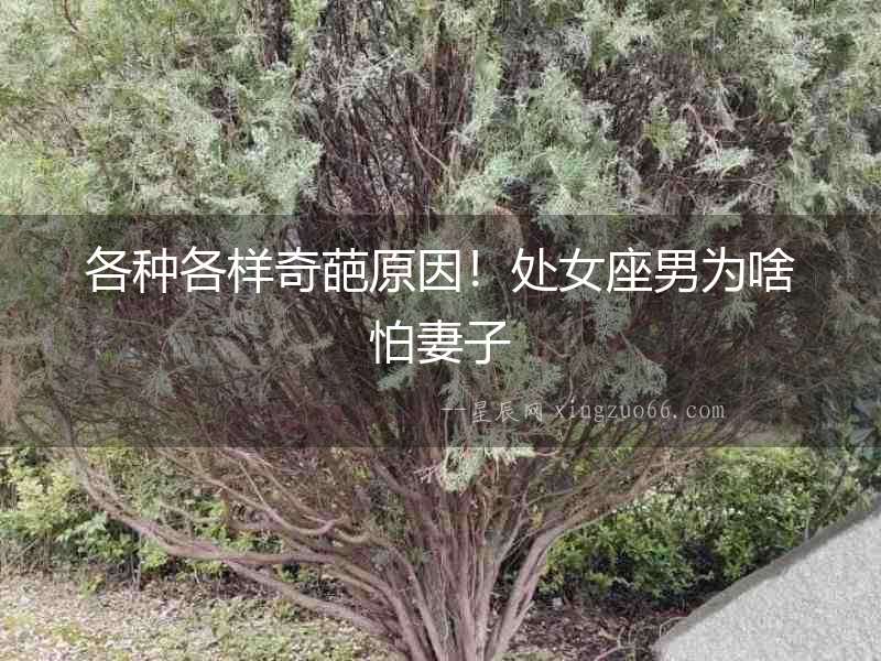 各種各樣奇葩原因！處女座男為啥怕妻子