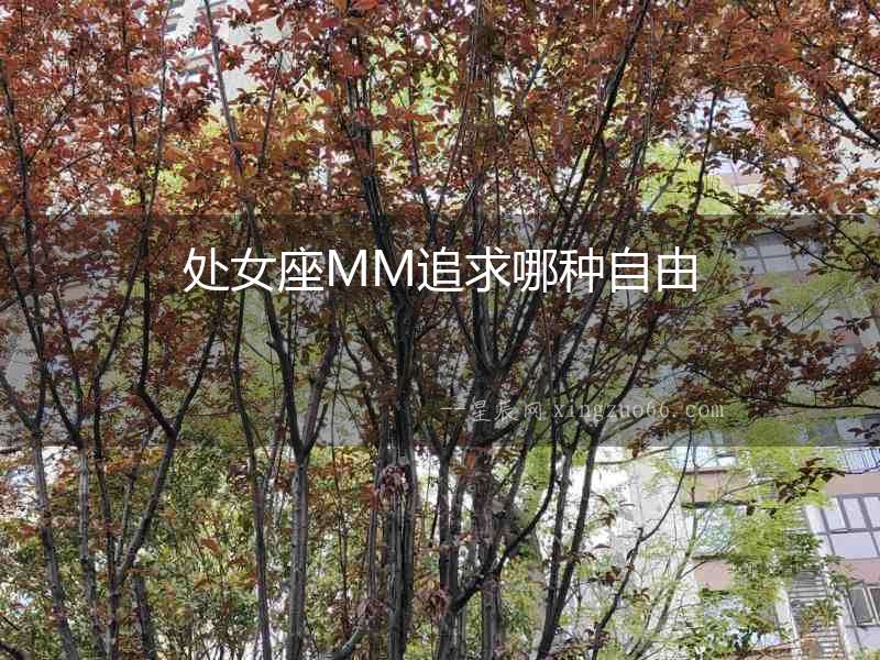 處女座MM追求哪種自由