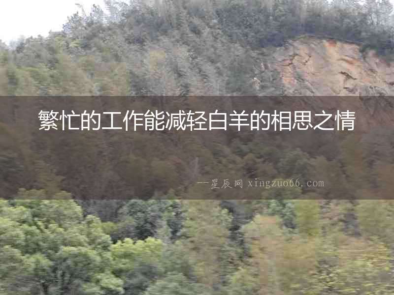 繁忙的工作能減輕白羊的相思之情