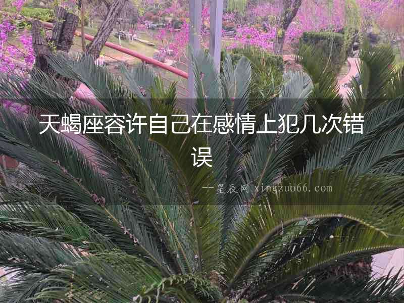 天蝎座容許自己在感情上犯幾次錯誤