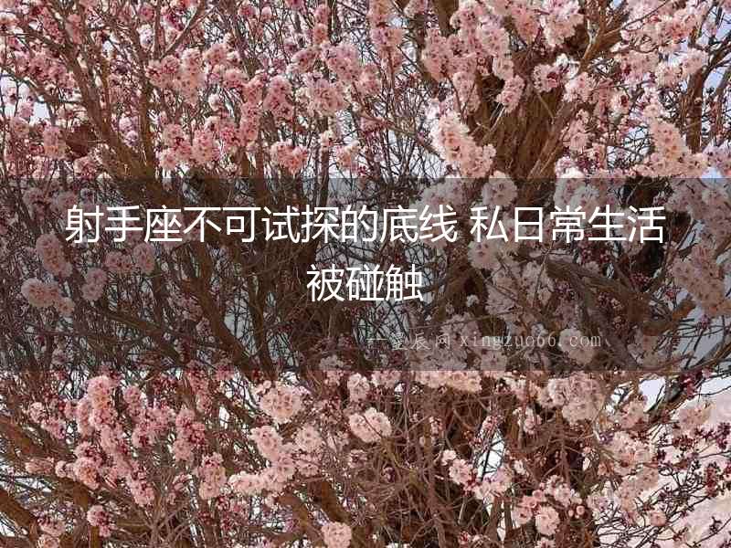 射手座不可試探的底線 私日常生活被碰觸