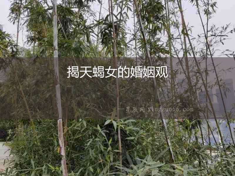 揭天蝎女的婚姻觀
