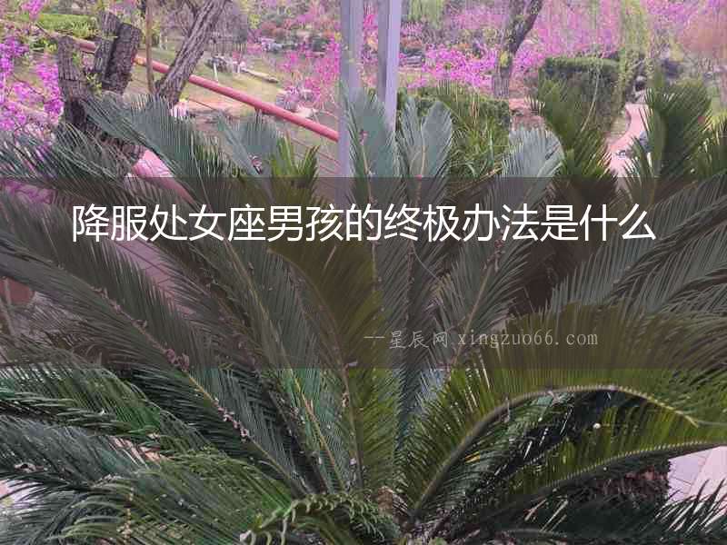 降服處女座男孩的終極辦法是什么