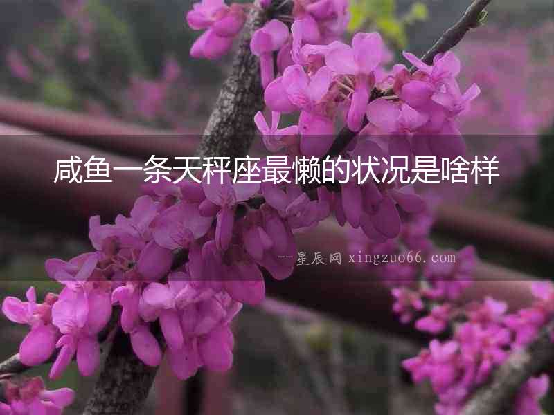 咸魚一條天秤座最懶的狀況是啥樣