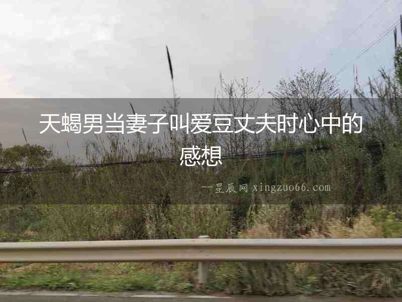 天蝎男當(dāng)妻子叫愛豆丈夫時心中的感想