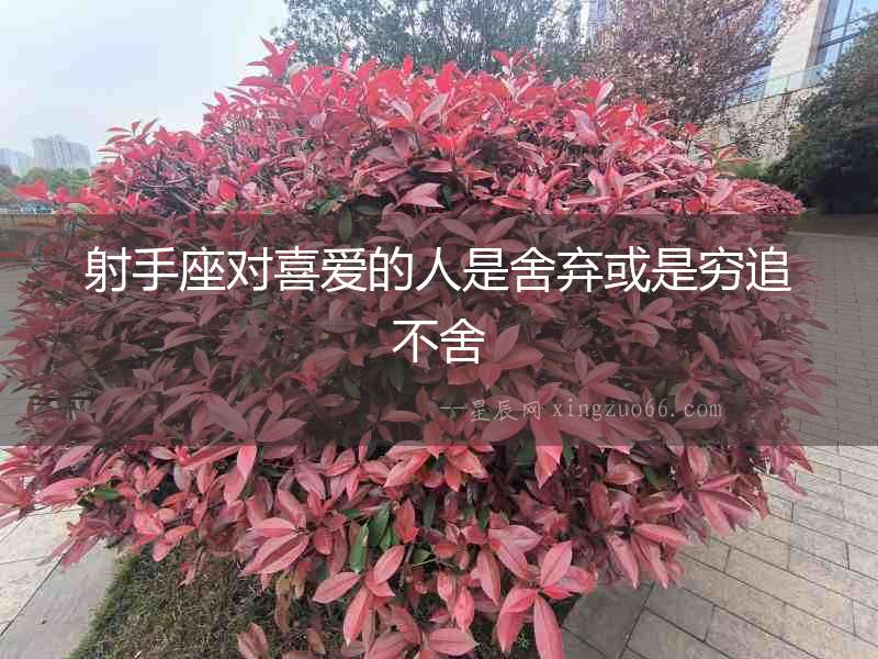 射手座對喜愛的人是舍棄或是窮追不舍