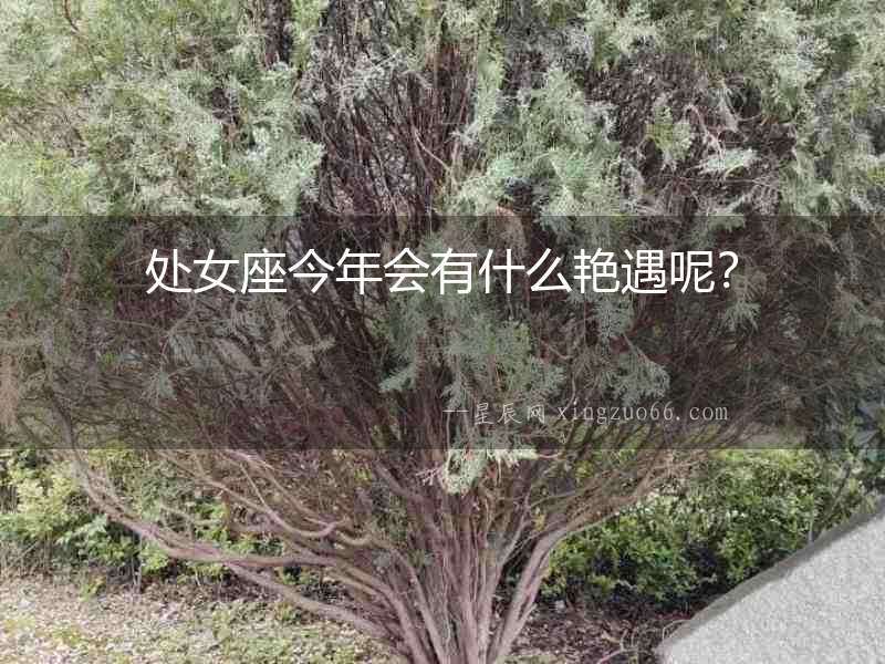 處女座今年會有什么艷遇呢？