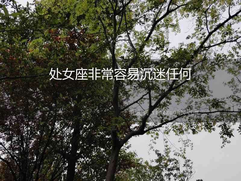 處女座非常容易沉迷任何