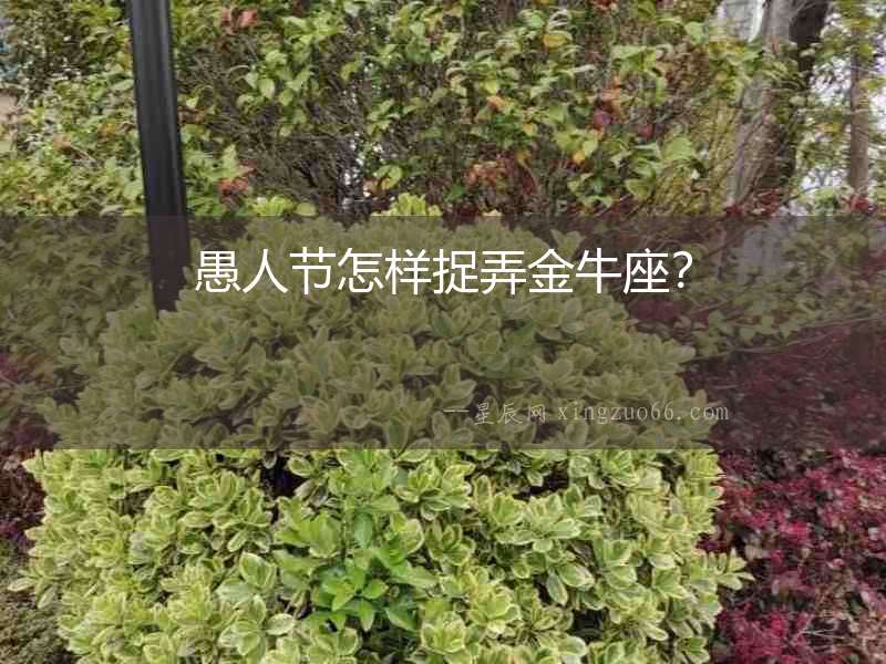 愚人節怎樣捉弄金牛座？