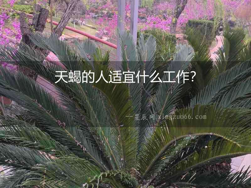 天蝎的人適宜什么工作？