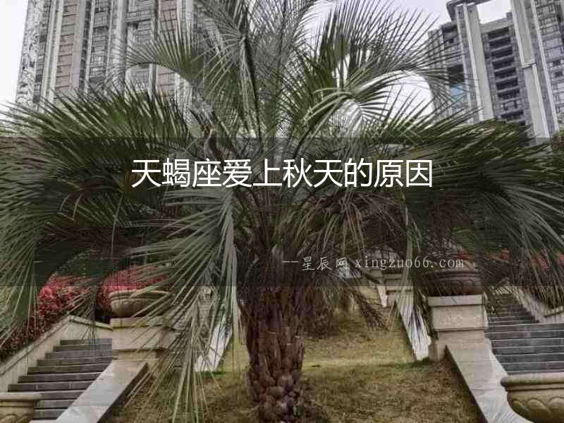 天蝎座愛上秋天的原因