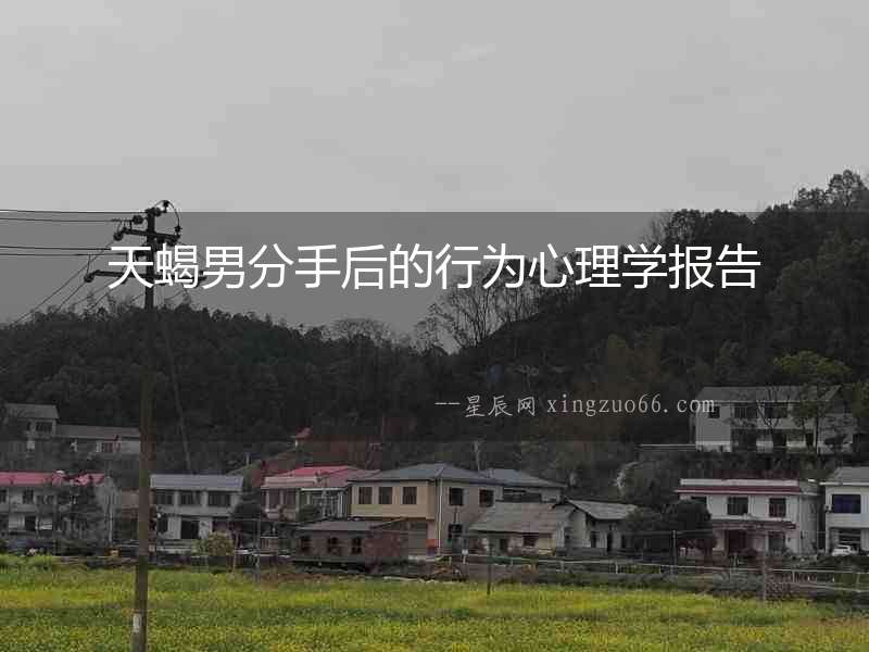 天蝎男分手后的行為心理學報告