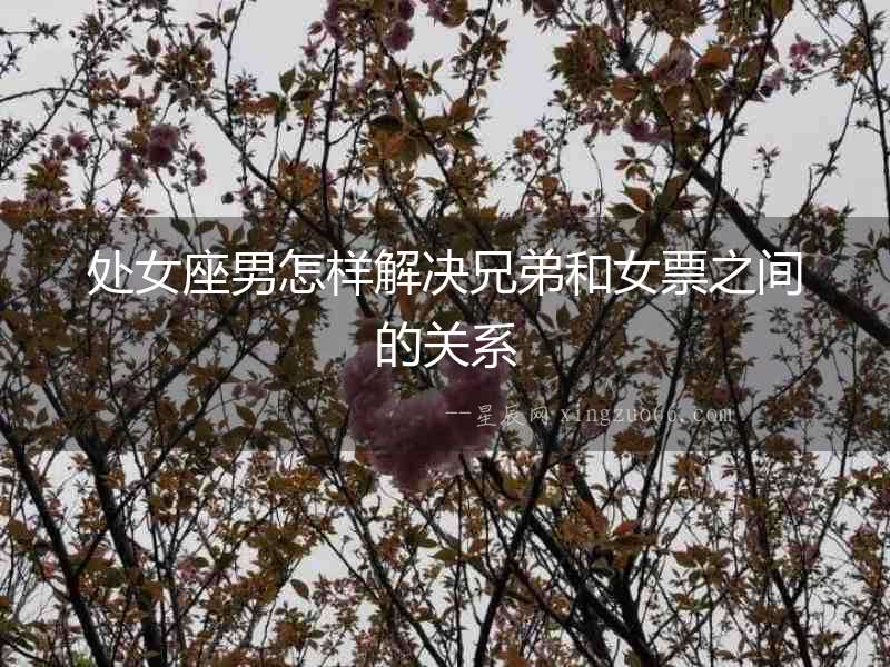 處女座男怎樣解決兄弟和女票之間的關系