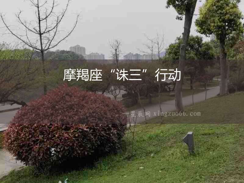 摩羯座“誅三”行動
