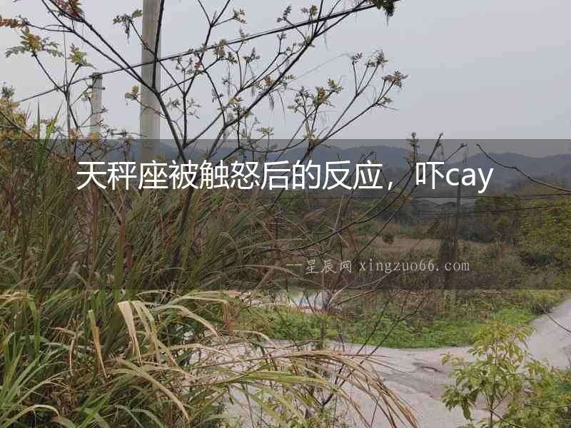 天秤座被觸怒后的反應，嚇cay
