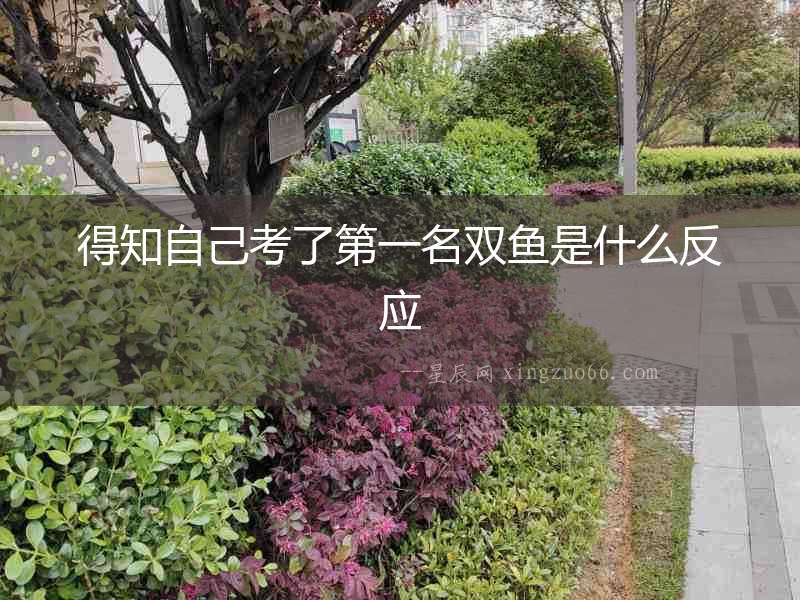 得知自己考了第一名雙魚是什么反應