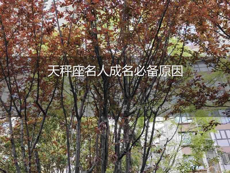 天秤座名人成名必備原因