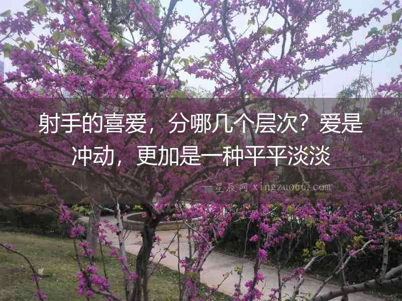 射手的喜愛，分哪幾個層次？愛是沖動，更加是一種平平淡淡