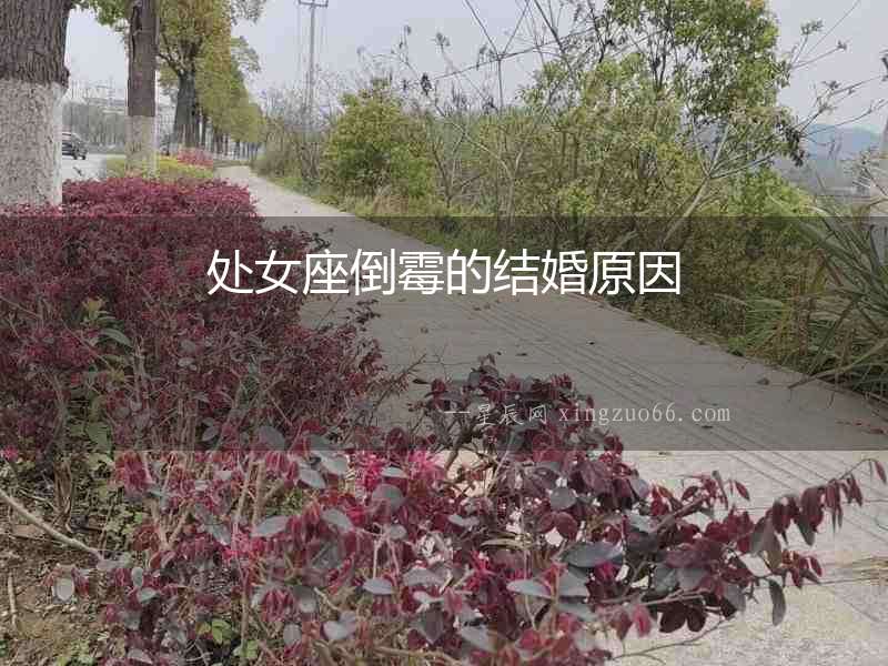 處女座倒霉的結婚原因