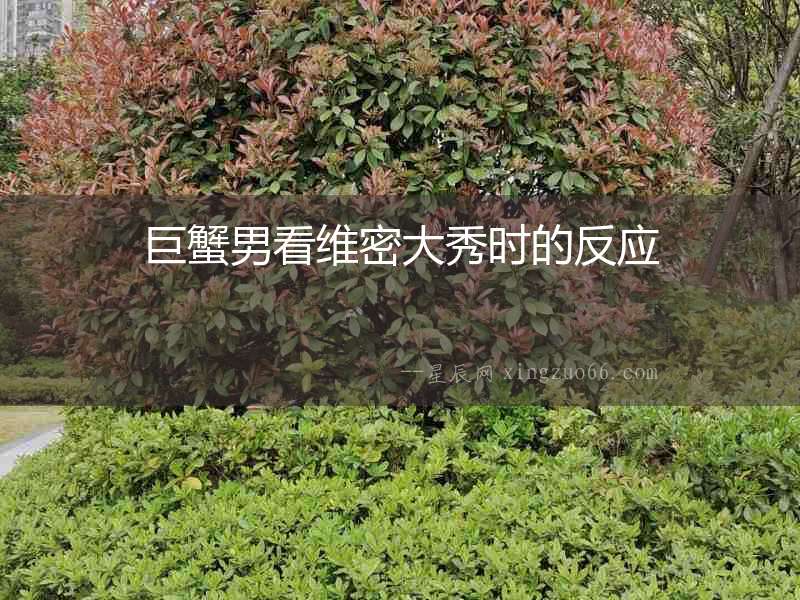 巨蟹男看維密大秀時的反應