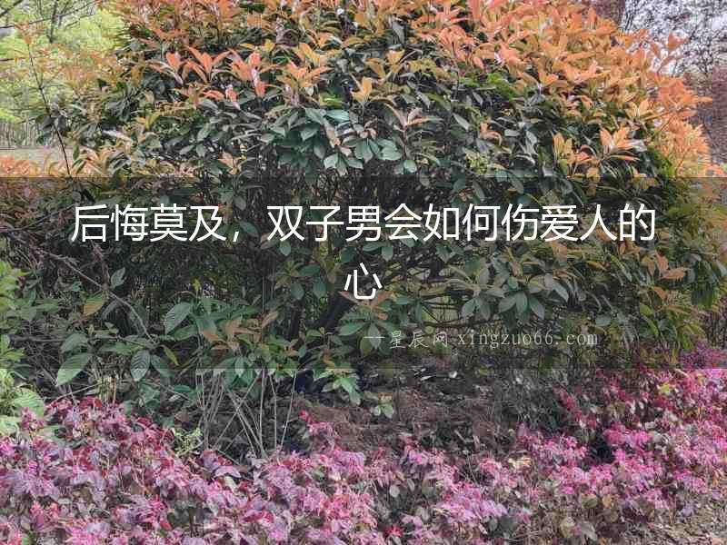 后悔莫及，雙子男會如何傷愛人的心