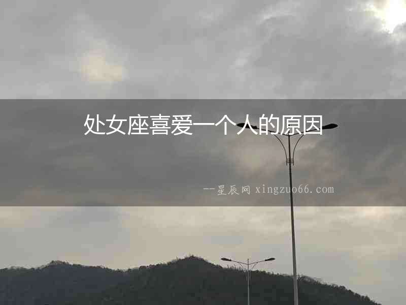 處女座喜愛一個人的原因