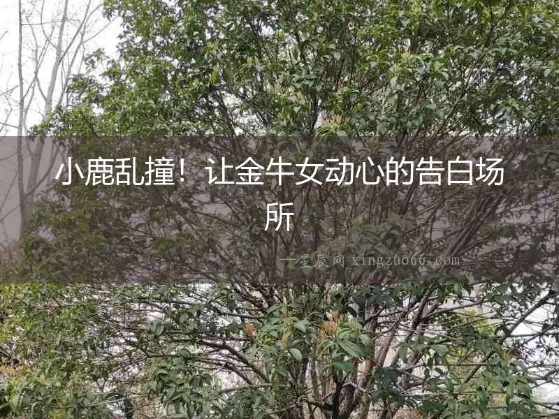 小鹿亂撞！讓金牛女動心的告白場所