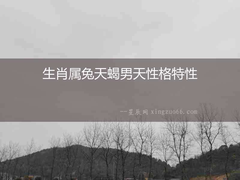 生肖屬兔天蝎男天性格特性