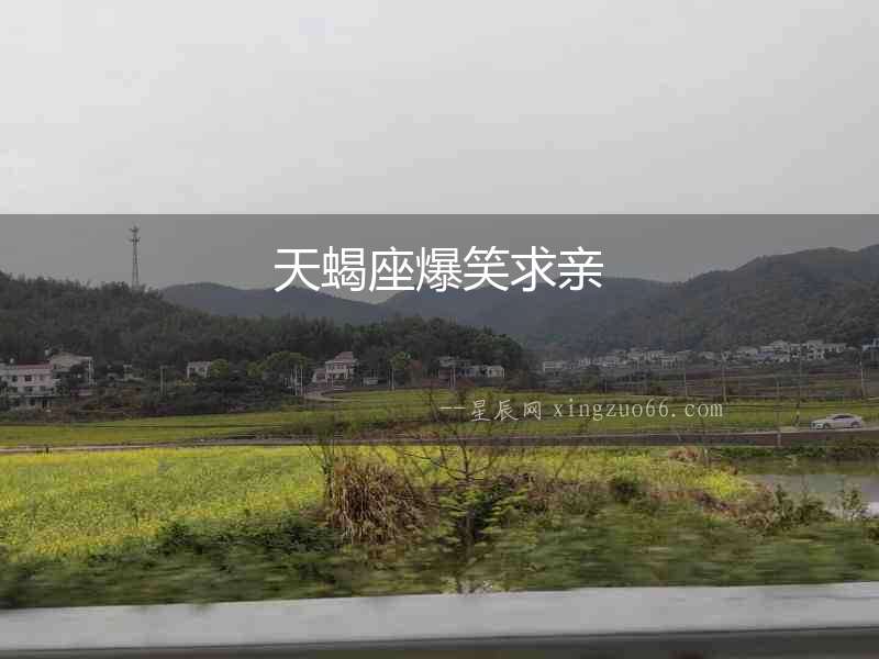 天蝎座爆笑求親