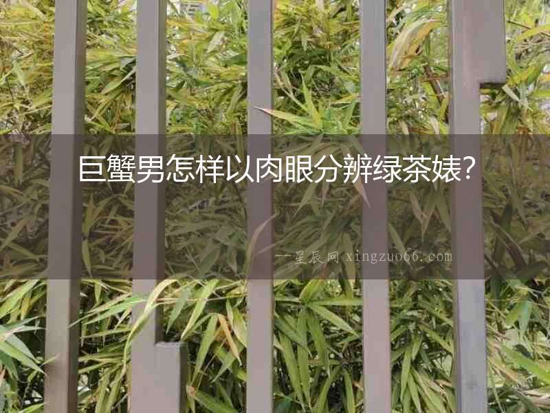 巨蟹男怎樣以肉眼分辨綠茶婊？