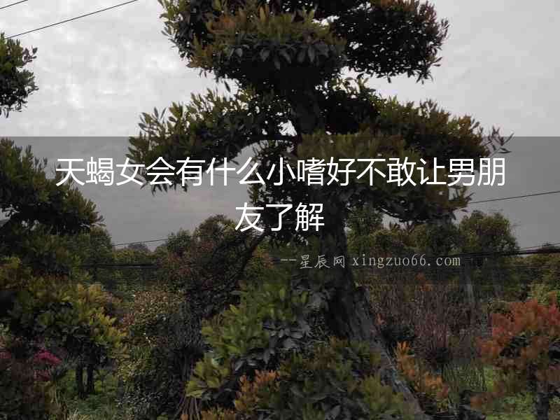 天蝎女會有什么小嗜好不敢讓男朋友了解