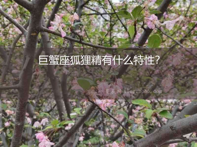 巨蟹座狐貍精有什么特性？