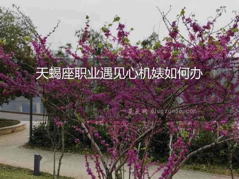 天蝎座職業(yè)遇見心機婊如何辦