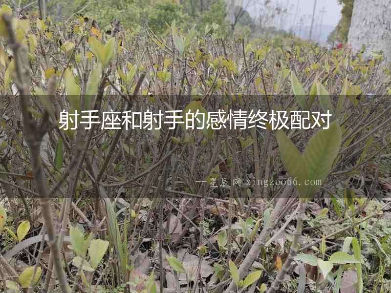 射手座和射手的感情終極配對